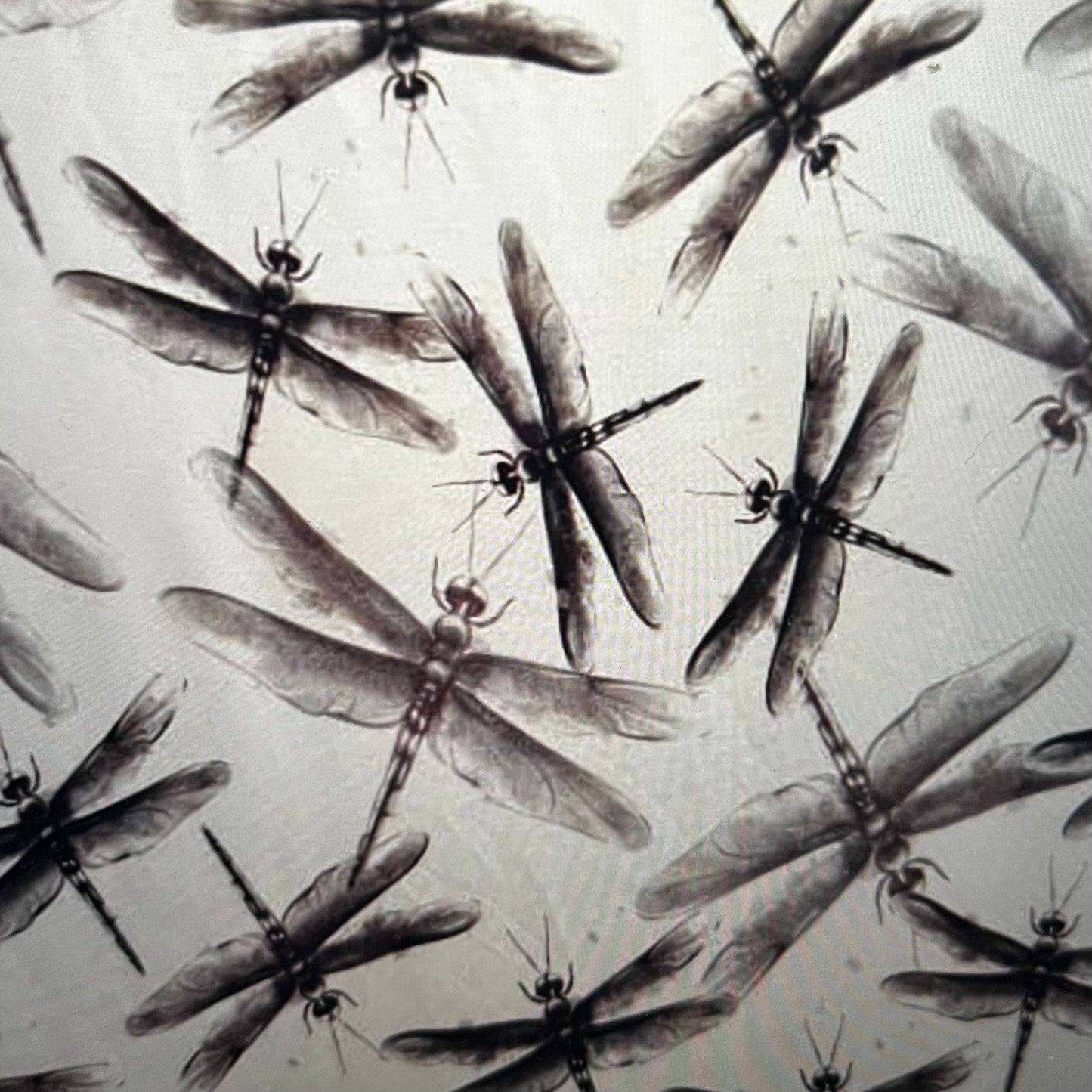 Trollsländor Vävd Bambuviscose TILLFÄLLIGT PARTI