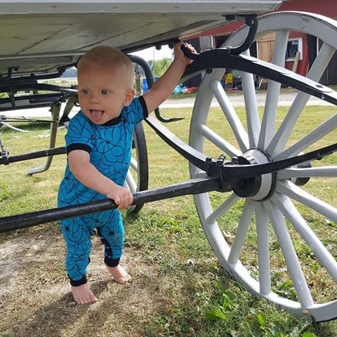 Tree Climber Strl 62-110 PDF-mönster