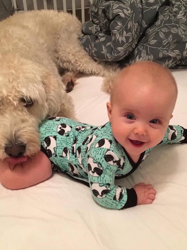 Wrap Me Up Strl 44-110 Pappersmönster