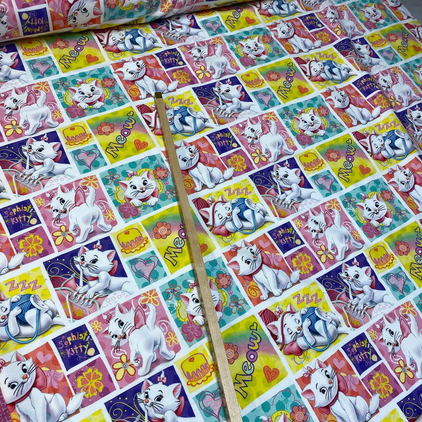 Kittens Jogging/French Terry