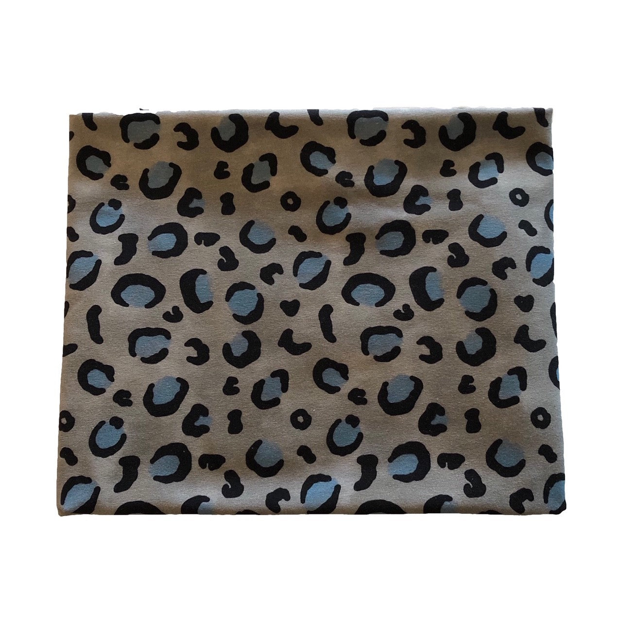 Leo Blue Sweatshirt/College