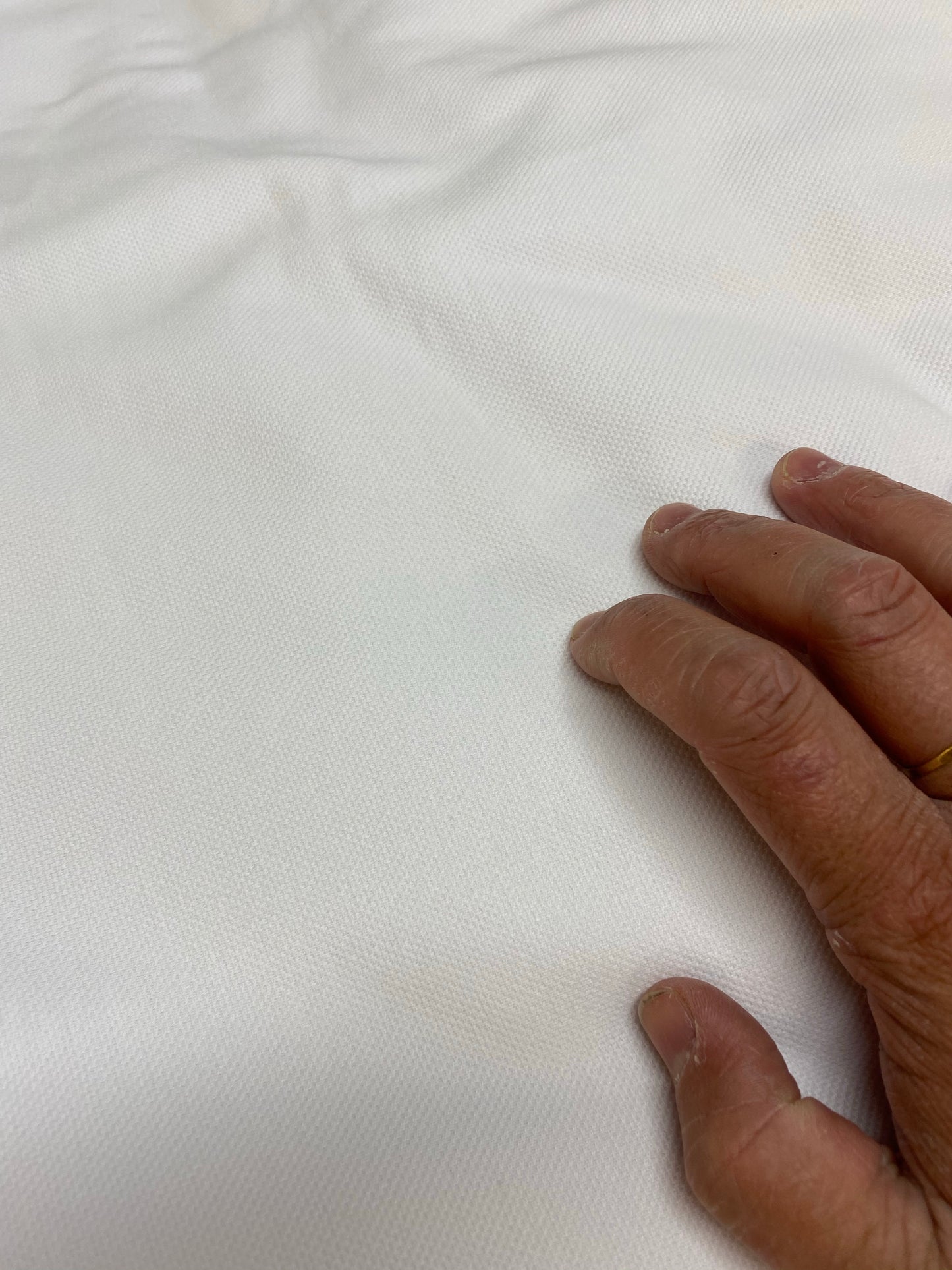 Piké/Lacoste Crispy White